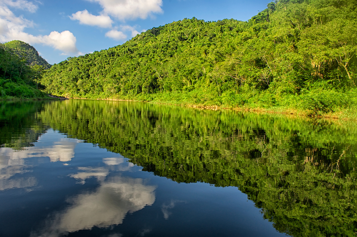 Jungle hills reflected in the calm Macal River