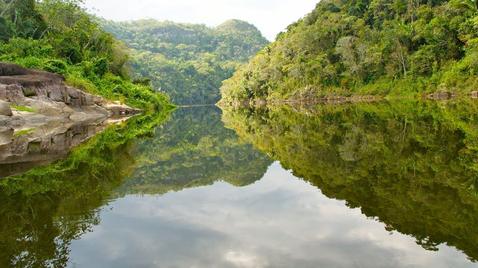 Calm Macal River reflecting the jungle