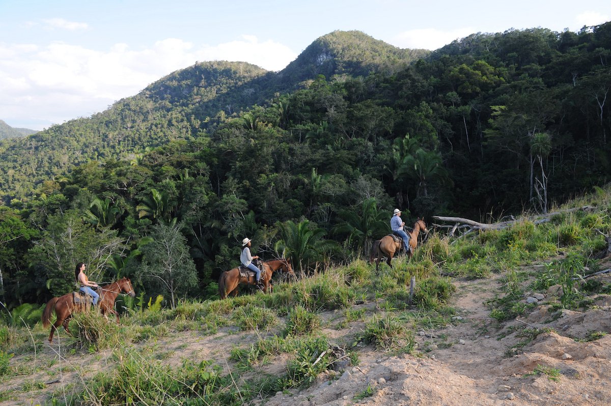 Riders on horseback on a hillside trail above the rainforest at Better in Belize