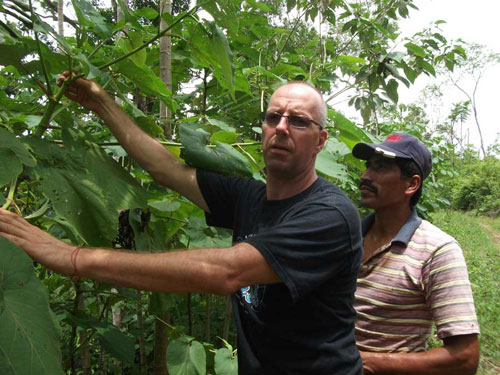 Learning about tropical trees and plants on the land at Better in Belize