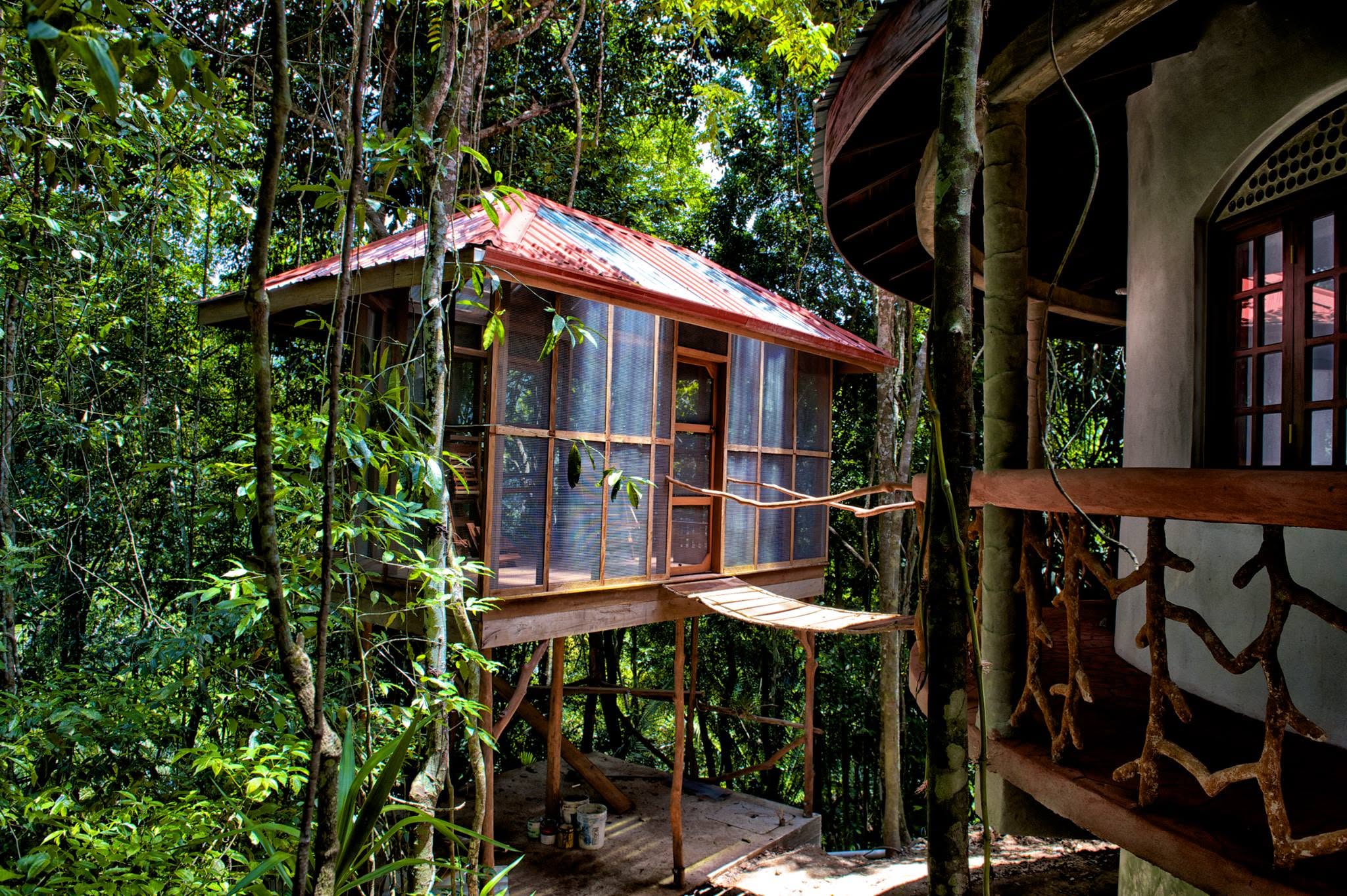 Screened treehouse on stilts in the jungle canopy, connected by a small wooden bridge to the earth bag home's balcony