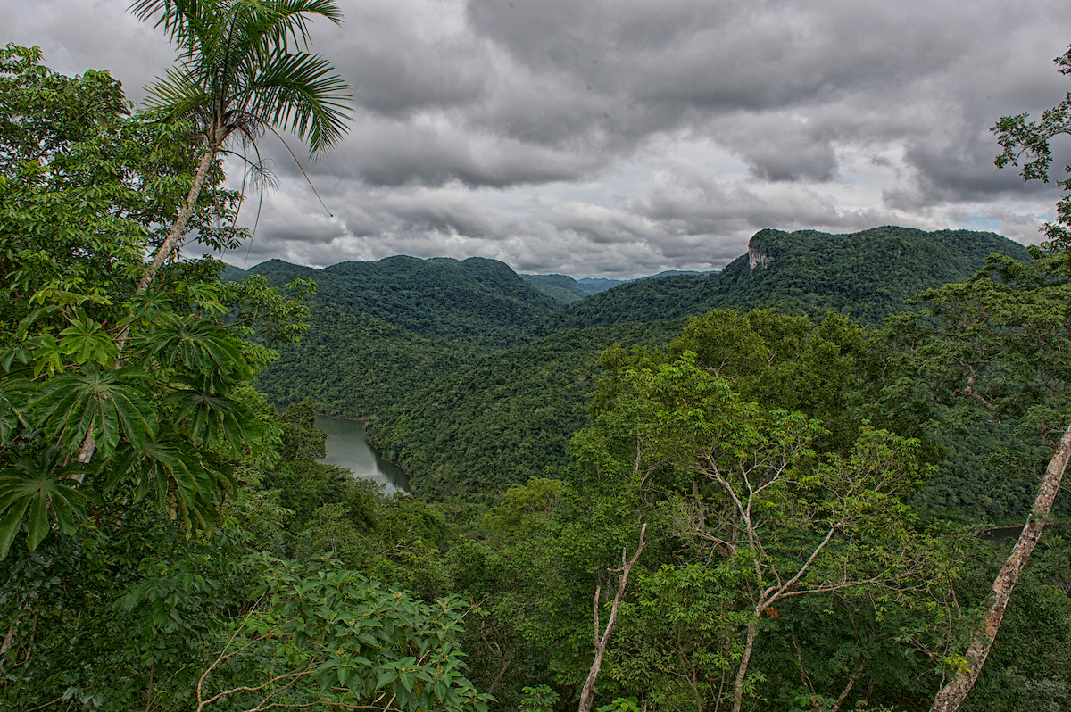 Verandah view over the rainforest, mountains and Macal River at Better in Belize